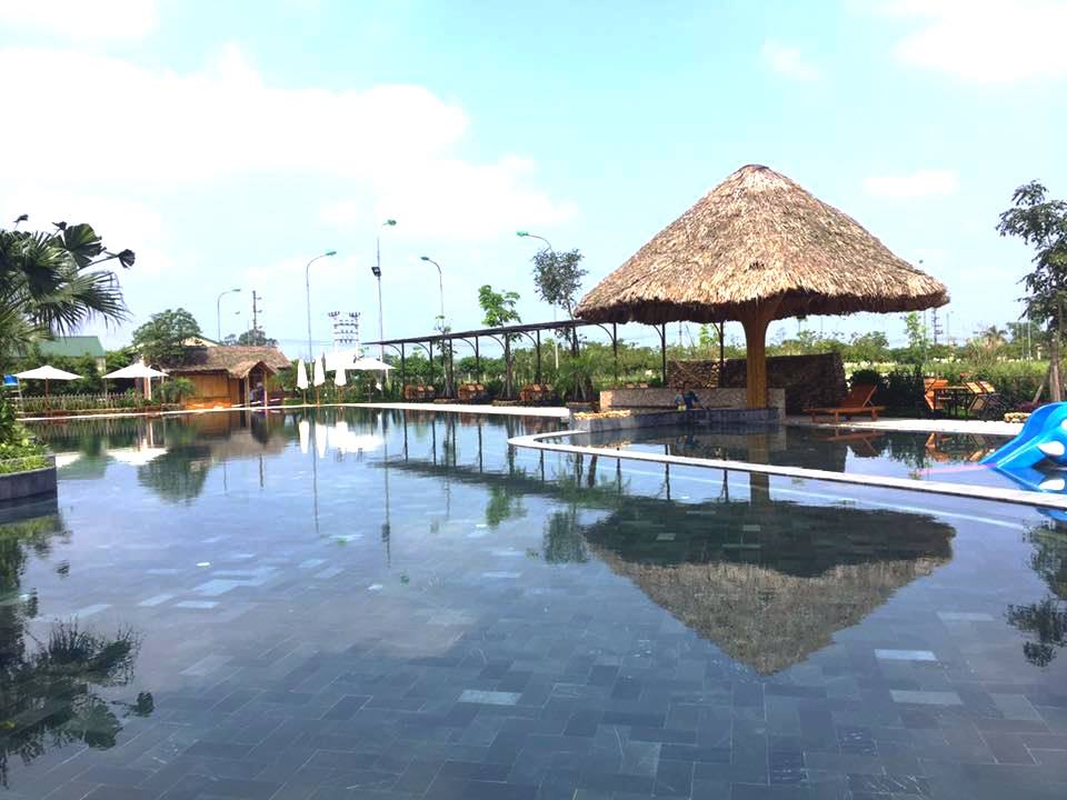 Bể bơi