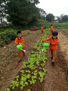 Chương trình học