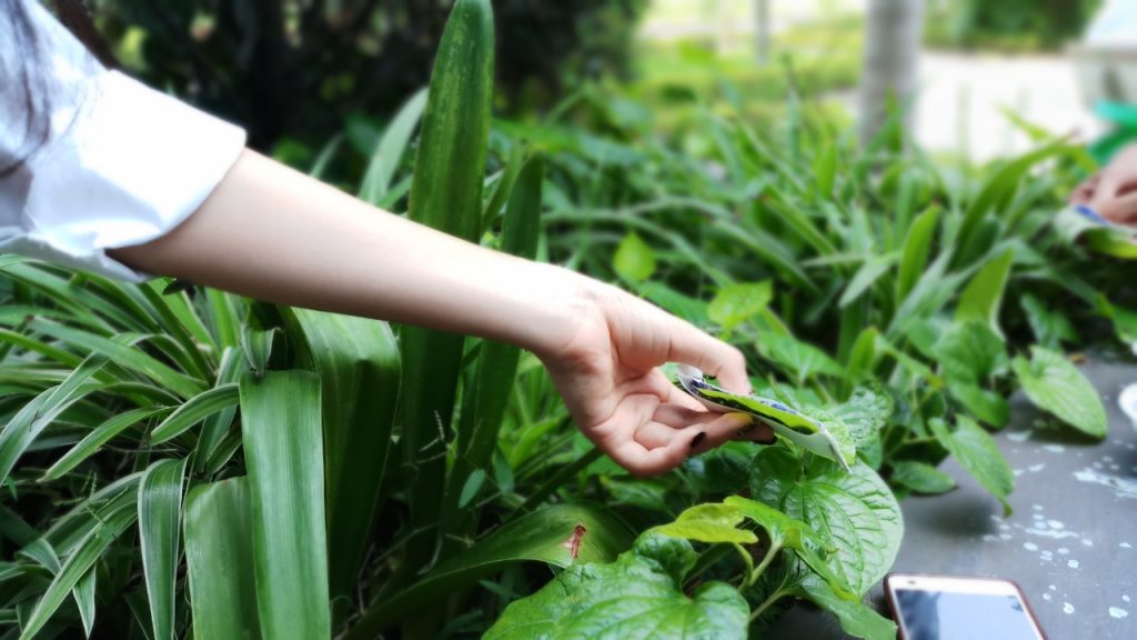 Học SINH HỌC có gì vui?