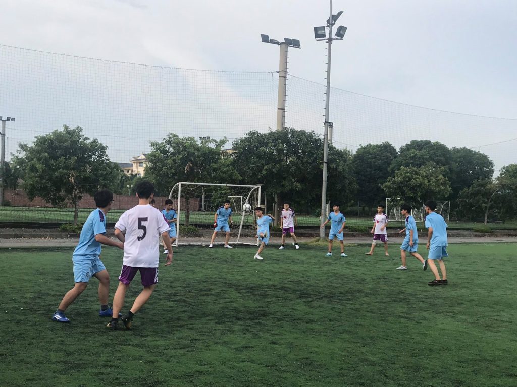 KHI VỊT BÔNG GẶP CÁ MẬP