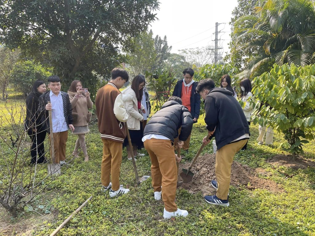 MÙA XUÂN LÀ TẾT TRỒNG CÂY