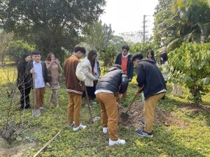 MÙA XUÂN LÀ TẾT TRỒNG CÂY