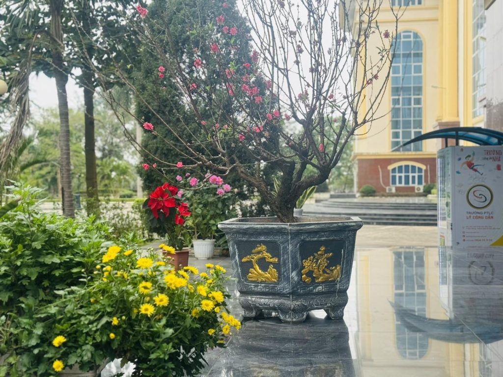 Vườn cây LCU